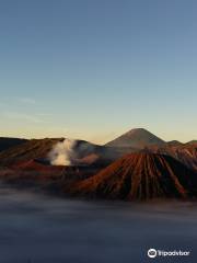 Bromo Ijen Backpacker