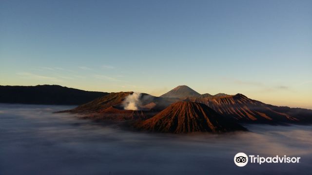 Malang