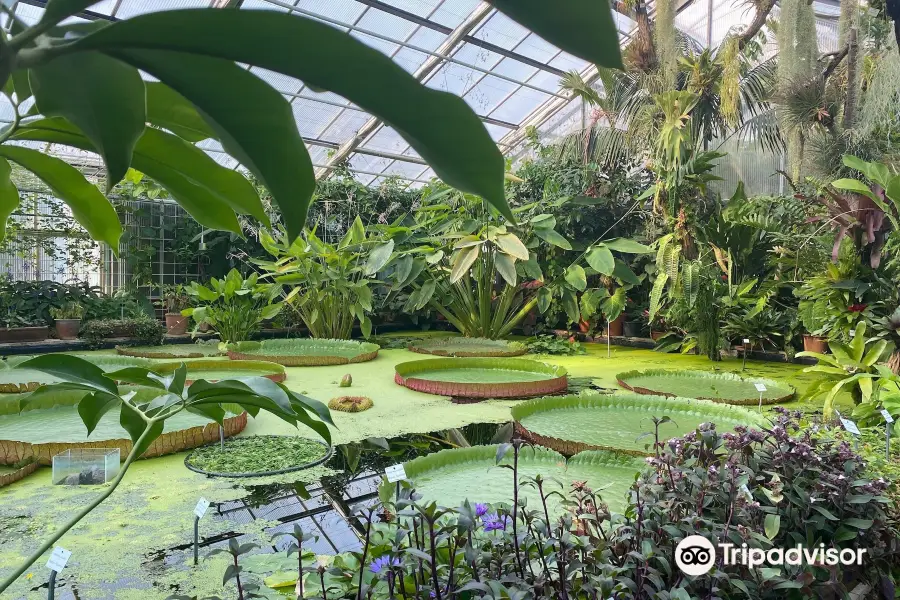 BOT Botanischer Garten, Dresden