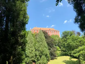 Opočno Castle