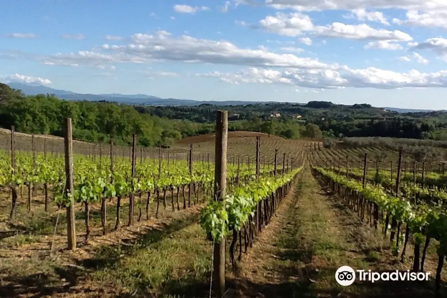 Azienda Agricola Losi Querciavalle