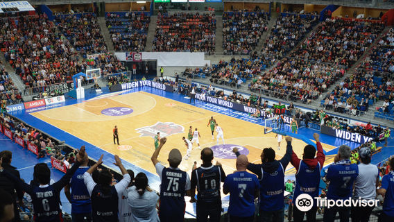 Fernando Buesa Arena