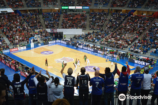 Fernando Buesa Arena