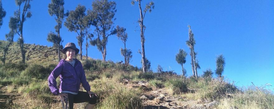 Rinjani Trans Trekking