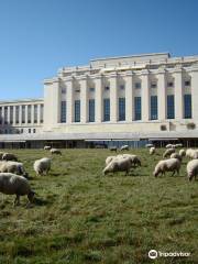 Palais des Nations