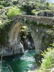 Gorges de l'Asco