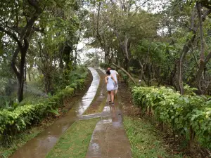 Jardín Botánico