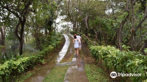 Botanical Garden