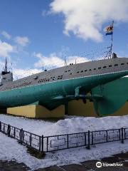 Submarine D-2 "Narodovolets"