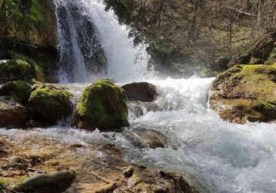 Natural Monument Ripaljka