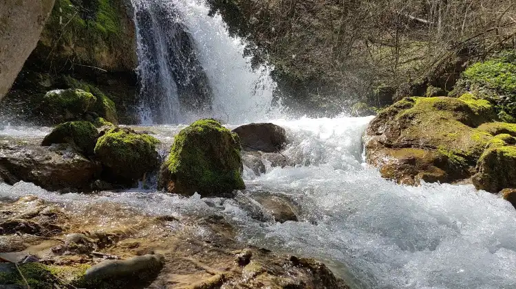 索科礦泉村