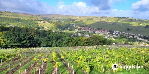 Holmfirth Vineyard
