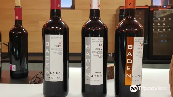 2_Bodegas Baden Numen