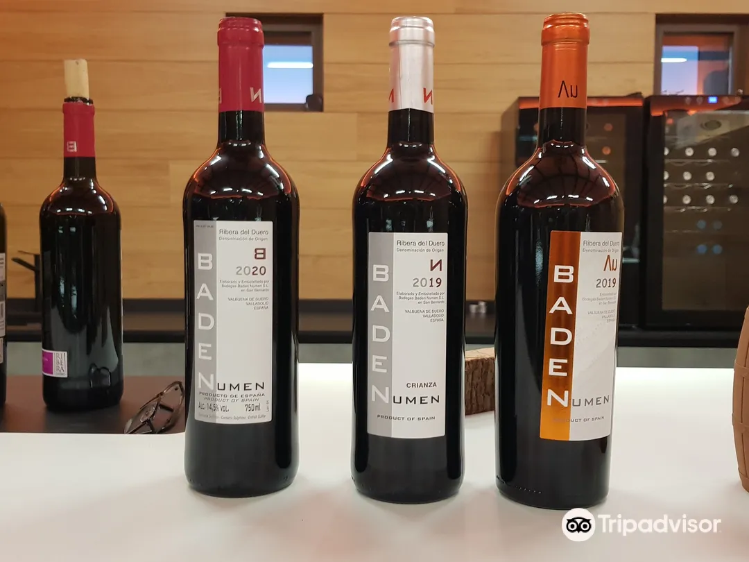 2_Bodegas Baden Numen