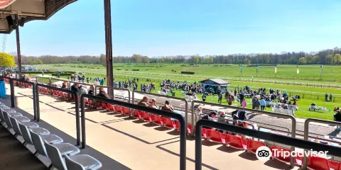 Pferderennbahn Neue Bult