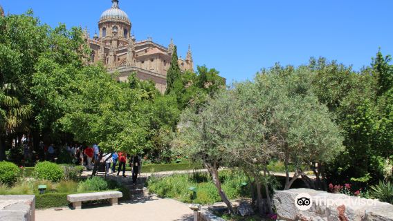 Garden of Calixto and Melibea