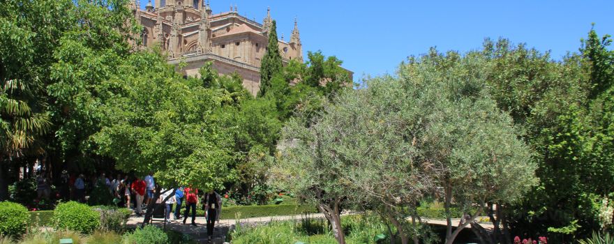 Huerto de Calixto y Melibea