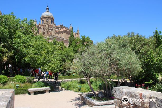 Garden of Calixto and Melibea