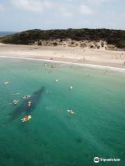 Cape Paterson Bay Beach