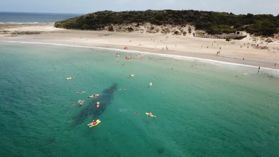 Cape Paterson Bay Beach