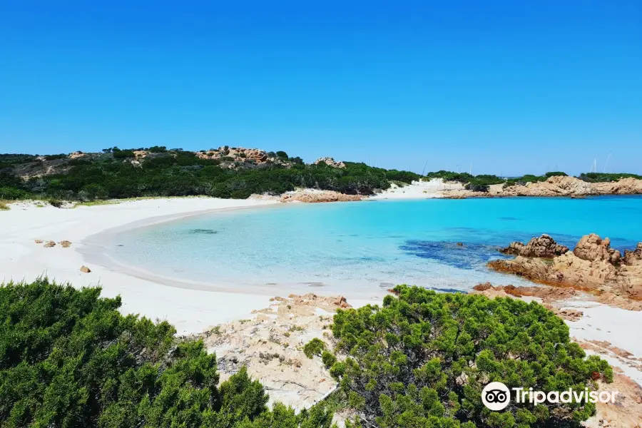 Spiaggia Rosa