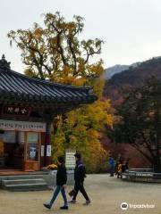 Yongmunsan Yongmunsa Temple