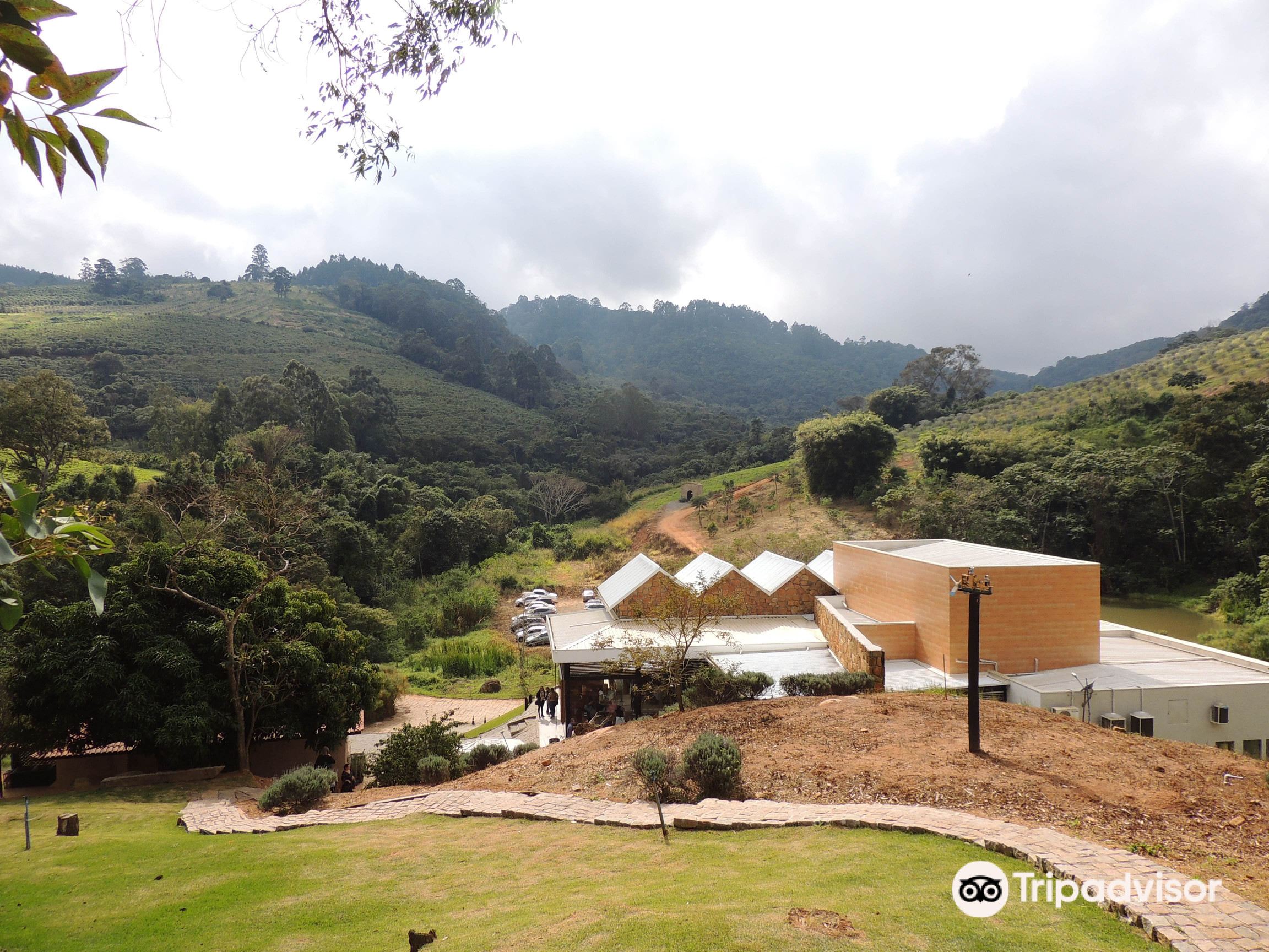 Grande xadrez. - Picture of Xadrez Gigante Recebe Melhorias, Pocos de Caldas  - Tripadvisor