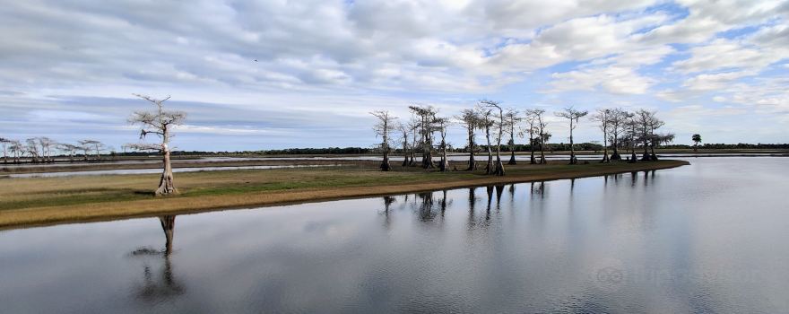 A-Awesome Airboat Ride