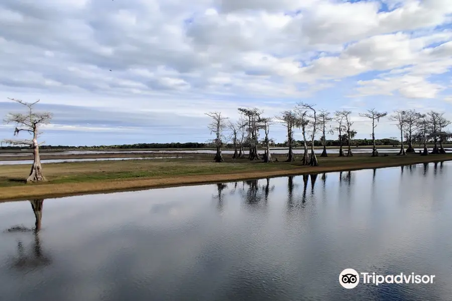 A-Awesome Airboat Ride