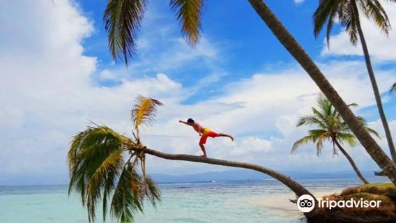 Carpe Diem Sailing and Yoga