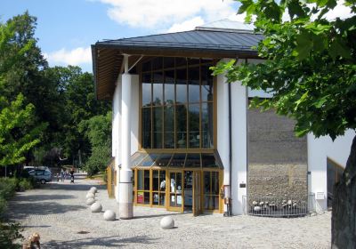 Musée d'histoire naturelle et des mammouths du sud-est de la Bavière à Siegsdorf