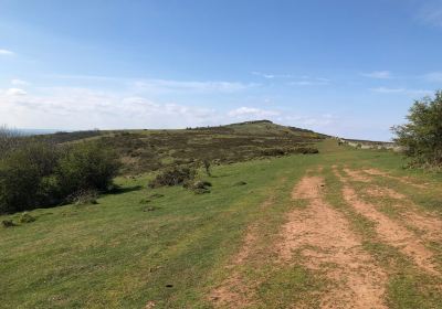 Crook Peak to Shute Shelve Hill