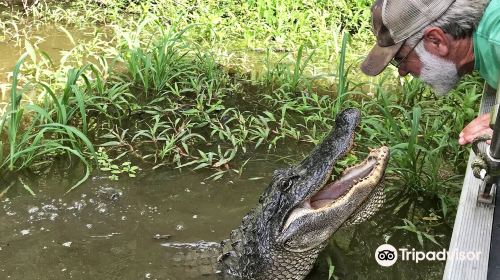 McGee's Louisiana Swamp & Airboat Tours