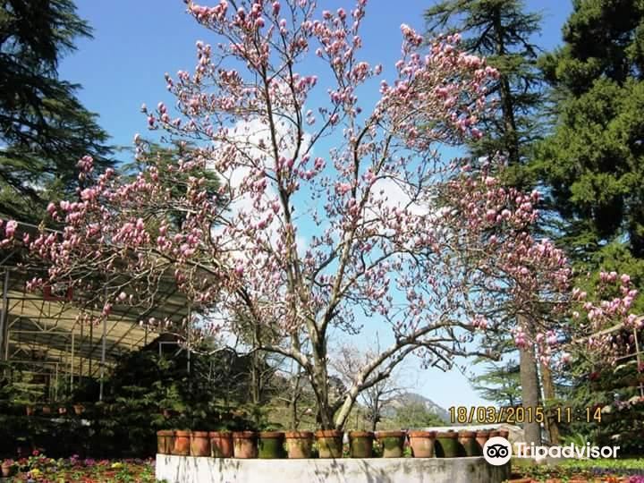 Mussoorie