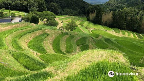 Oyama Rice Terraces