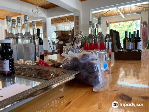 Zenon Winery
