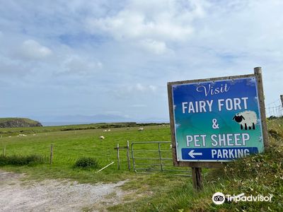 Fairy Fort Ringfort