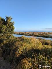 Dunsborough Beach