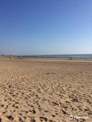 Camber Sands