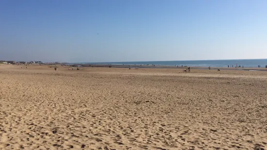 Camber Sands