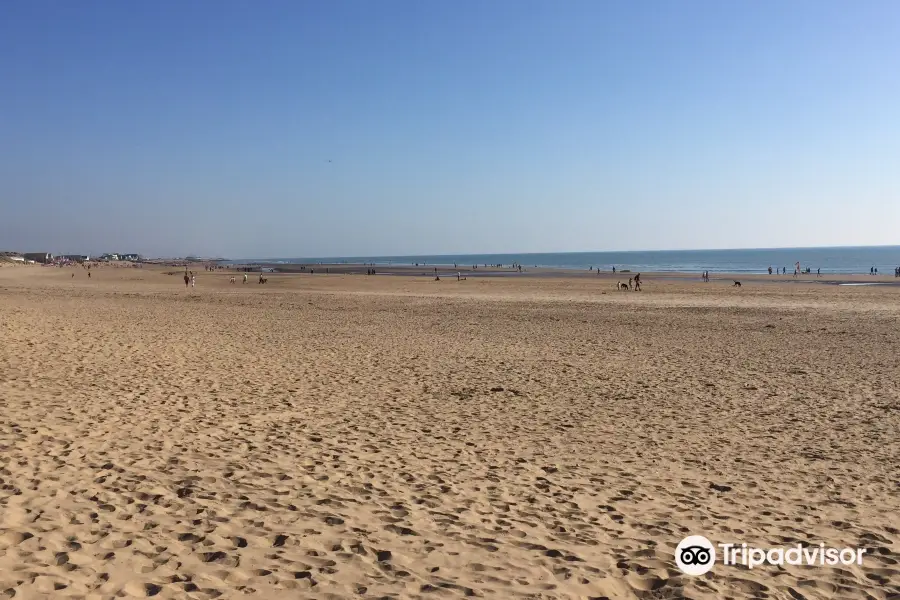 Camber Sands