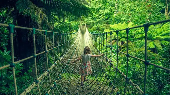 Hotels near The Lost Gardens of Heligan