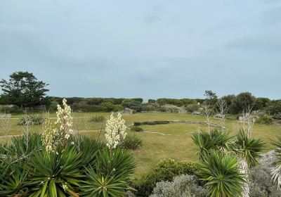 The Sunken Gardens