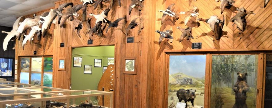 Brazosport Museum of Natural Science