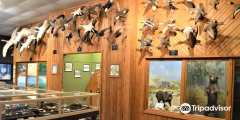 Brazosport Museum of Natural Science