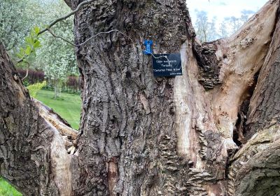 Inveresk Lodge Garden