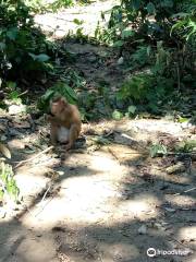 Phong Nha Botanic Garden