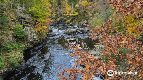 Rogie Falls