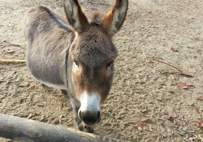 Krefeld Zoo