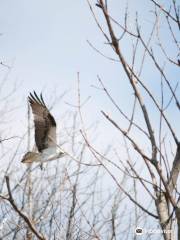 Occoquan Bay National Wildlife Refuge